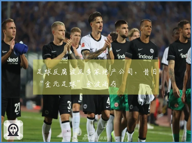 足球反腐波及多家地产公司，昔日“金元足球”余波尚存